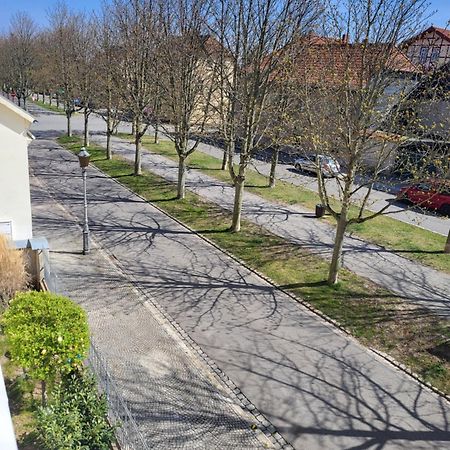 Alleeblick Ballenstedt Kültér fotó