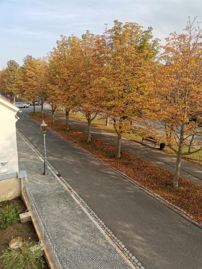 Alleeblick Ballenstedt Kültér fotó