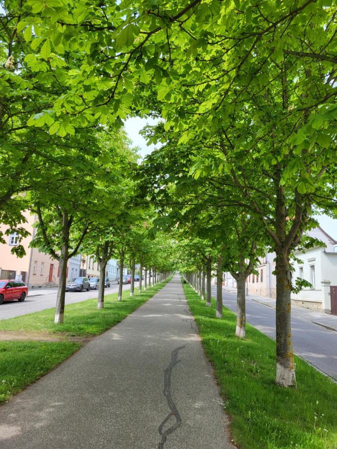 Alleeblick Ballenstedt Kültér fotó