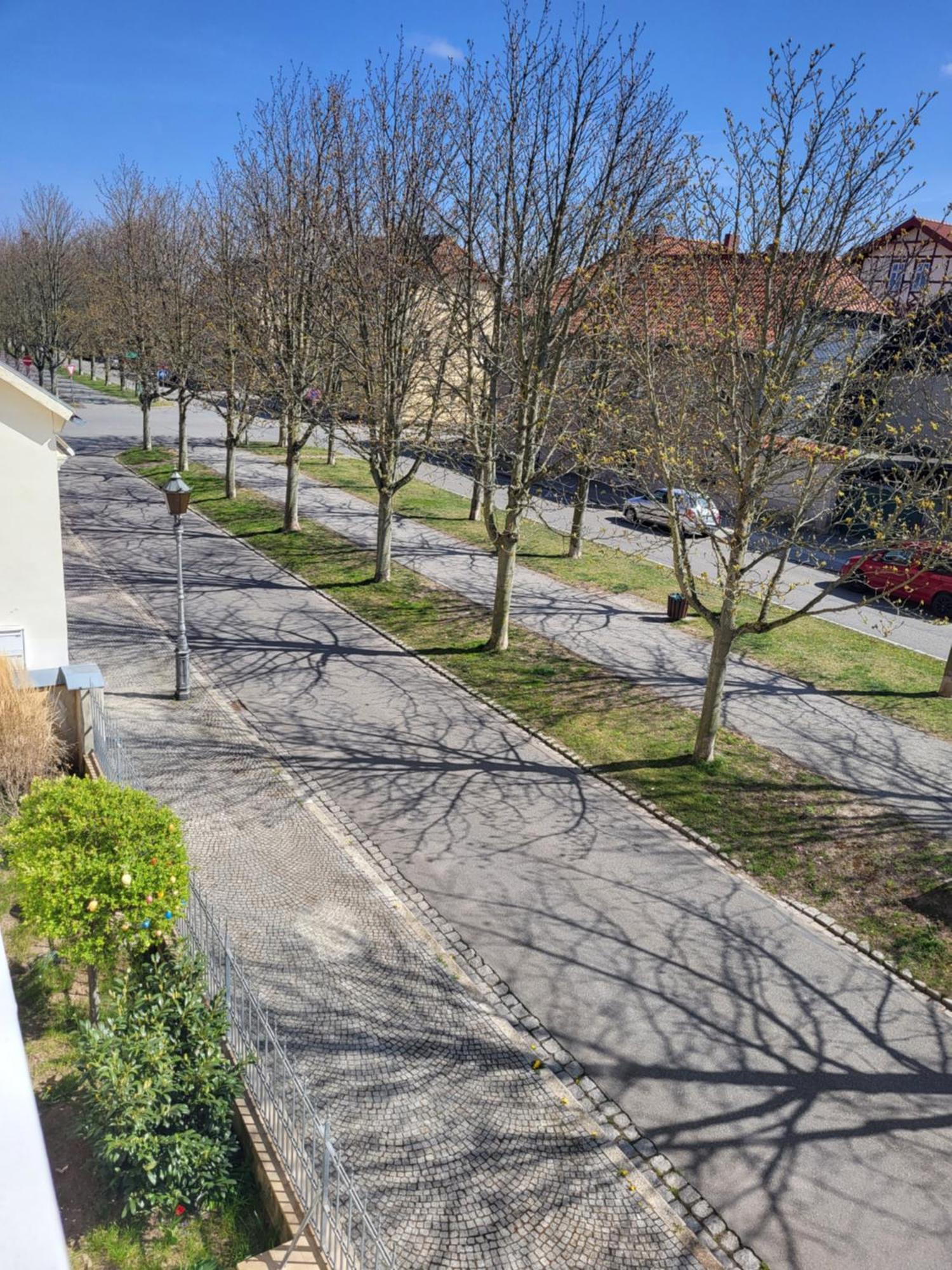 Alleeblick Ballenstedt Kültér fotó